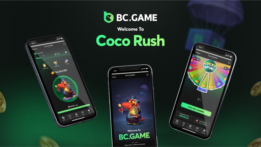 Exploring the Innovative Betting Platform BC Game