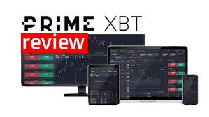 PrimeXBT vs Pocket Option A Comprehensive Comparison